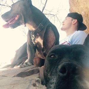 Meet your Posher, Manuel